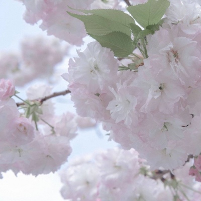 Furry绘画动态表现兽圈群